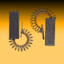 1 Kit Balais de Charbon