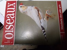µµ Le Journal des oiseaux n°248 Mainate Mandarin argenté Maladie canari Grisoun