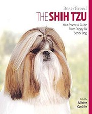 Le Shih Tzu : Votre Guide