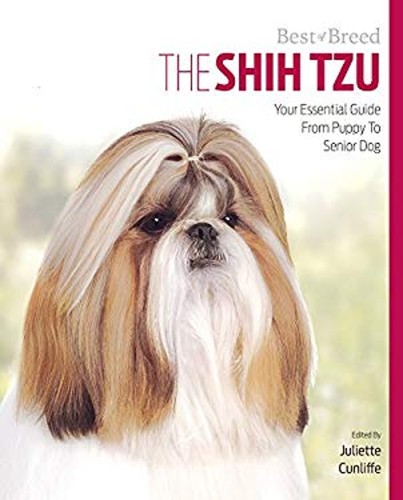 Shih tzu votre - :, guide