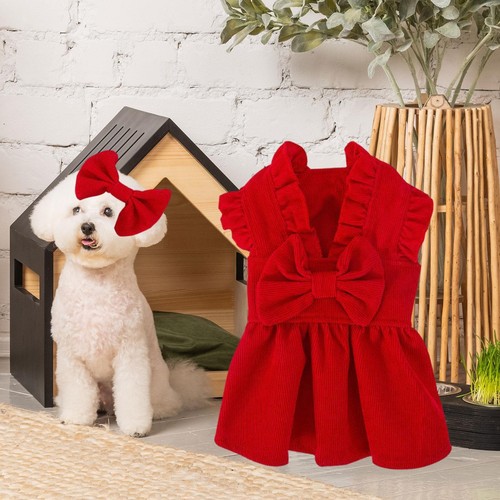 Chiot noël princesse - noël, robe