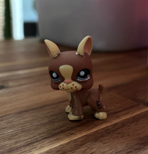 Little petshop chien boston - little,