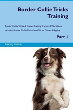 Training Centra Border Collie