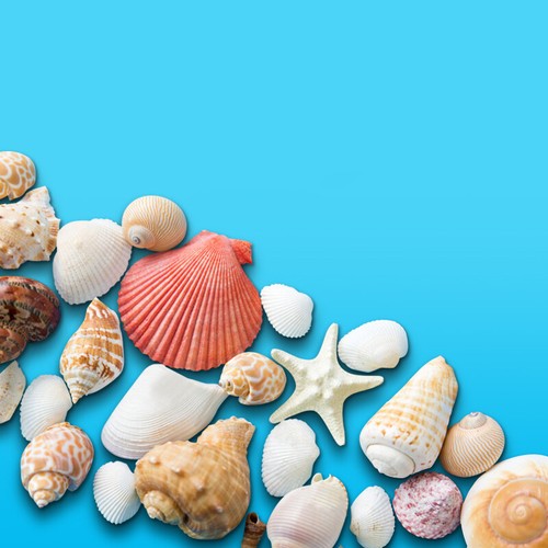 Kit 130g aquarium art - 1,