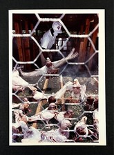 1991 Rock Hill SC Pigeon Farm Bird Cage Cleaning Silver King Pigeons Press Photo