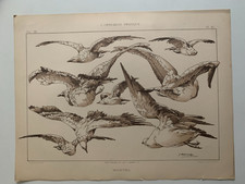 J.HABERT-DYS PLANCHE