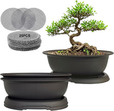 3 Pack Oval Bonsai Training