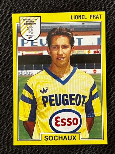 Vignette sticker panini - sticker,