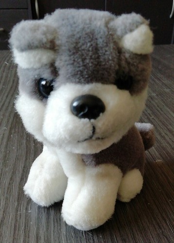 Peluche doudou chiot - chiot, husky