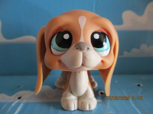 Petshop chien basset - basset, hound