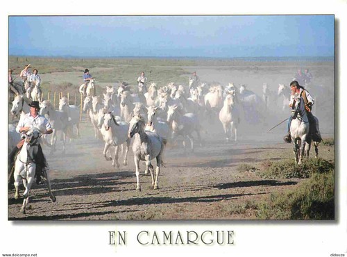 Carte postale animaux - postale,