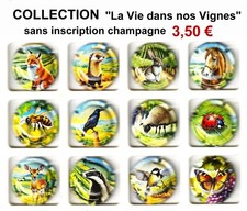 capsules generiques -" La Vie de Nos Vignes" sans inscription champagne