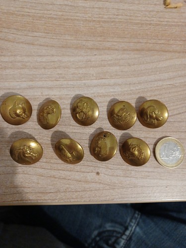 Lot boutons chasse - de, 9