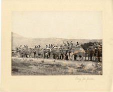 India, Caravan of&#039;Elephants Vintage Albumen Print Albumen Print 18x24