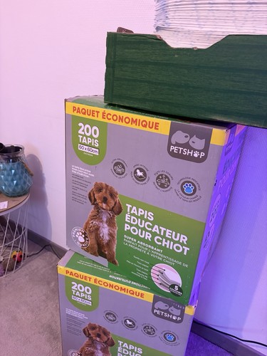 Petshop tapis entraînement - petshop, d'entraînement