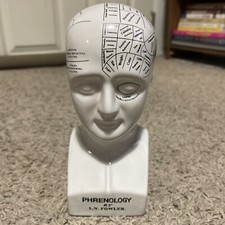Phrenology Head A Study of