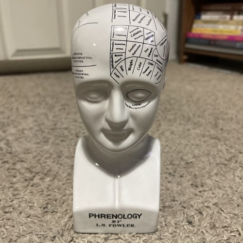 Phrenology head study of - phrenology,