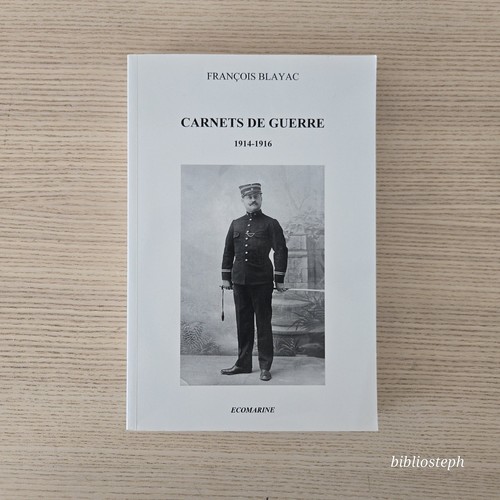 Livre carnets guerre - livre,
