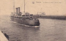 🦬Carte Postale / Postcard /
