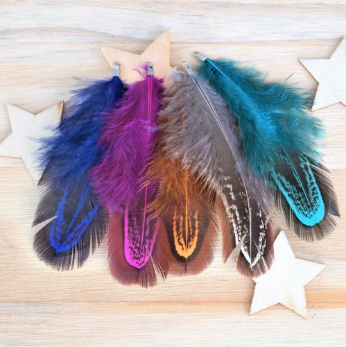 Pendentifs plumes faisan - de,