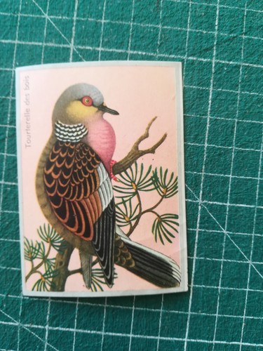 Xp38 chromo ornithologie - chromo,