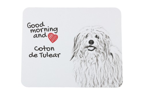 Coton tulear sous main de - tulear, sous-main