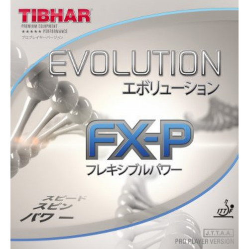 Tibhar evolution p - evolution, fx-p