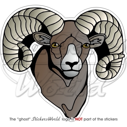 Bighorn mouton aries - bighorn, ram