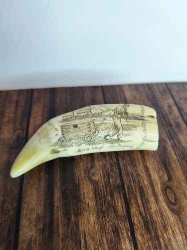 Dent cachalot scrimshaw - de,