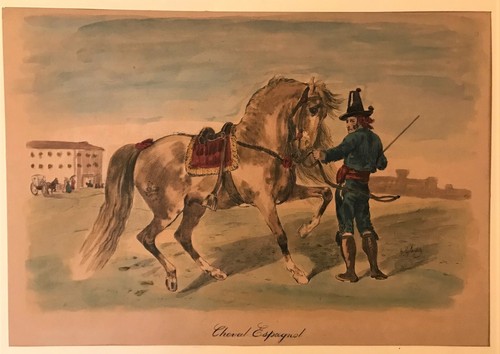 Cheval espagnol lithographie - cheval, espagnol.