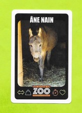 A Season at the Zoo Card - Dwarf Donkey