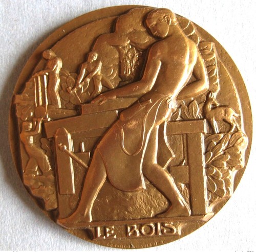 Médaille bronze bois - médaille, le