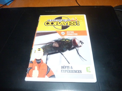 Dvd est pas que - dvd,