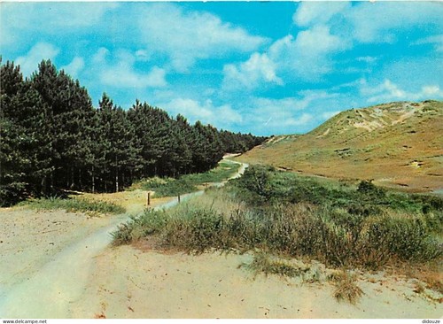 Carte postale pays bas - -, pays-bas