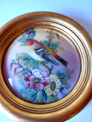 Oiseau branché dans