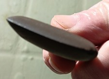 Hache polie néolithique