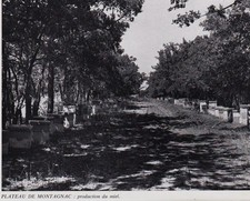 1975 -- MONTAGNAC PLATEAU HONEY PRODUCTION BEEKEEPING 3D233