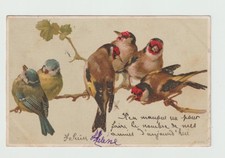 illustrateur . Mésanges à