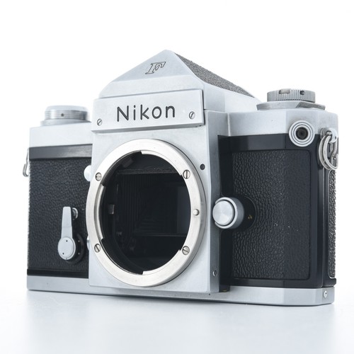Reflex nikon eye - nikon, level