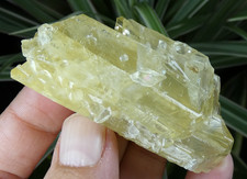 Calcite Jaune Fluorescente UV vert 6.5x3cm France mineral collection ancienne