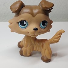 Petshop Chien Colley # 893 -