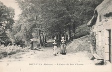 29 PONT AVEN LE BOIS D AMOUR
