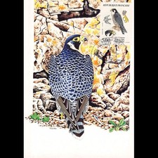 Carte Maximum - N° 2340 -