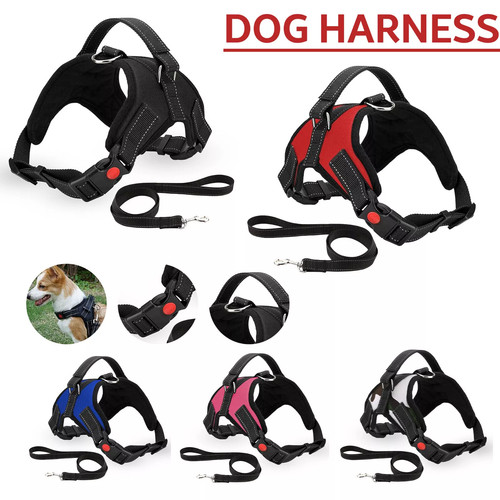 Chien harnais tirer pour - chien,