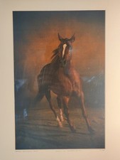 Photo Cheval / Yann Arthus-Bertrand