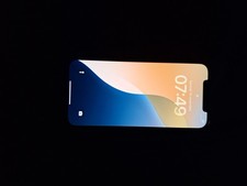 Apple iPhone 12 Pro Max -