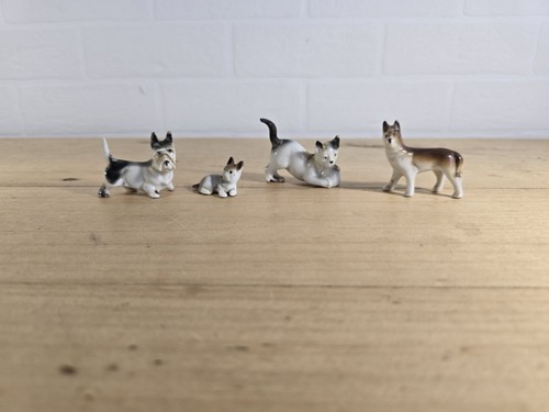 Petit lot chien chat en - et,