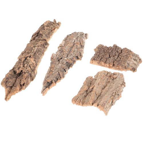 Pcs maison tortue - tortue, terrestre