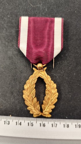 Medaille decoration palmes - decoration,