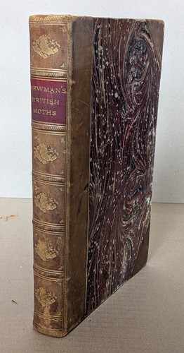 1869 newman british moths - 1869,